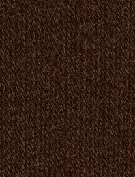 Regia 4 Ply 2905 Mocha with wool and nylon.